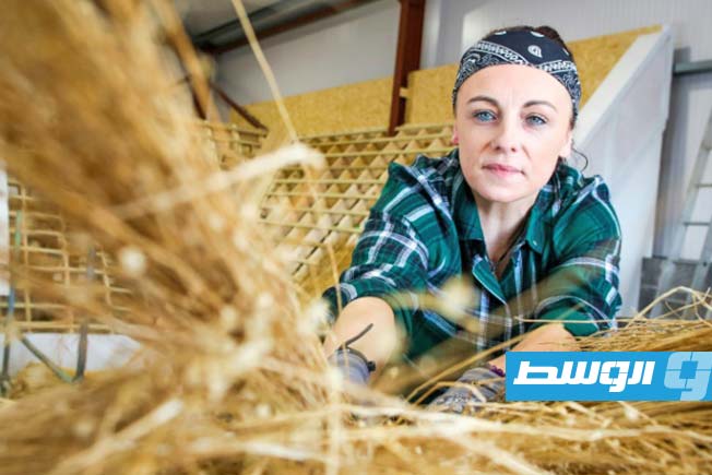 إحياء تقليد بناء الأسقف القشية في أيرلندا فن مهدد بالاندثار