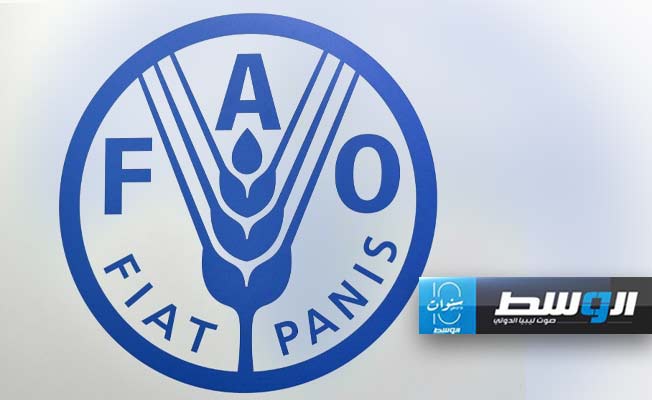 «فاو» تقدر التكاليف المستترة للأنماط الغذائية غير الصحية بـ8000 مليار دولار