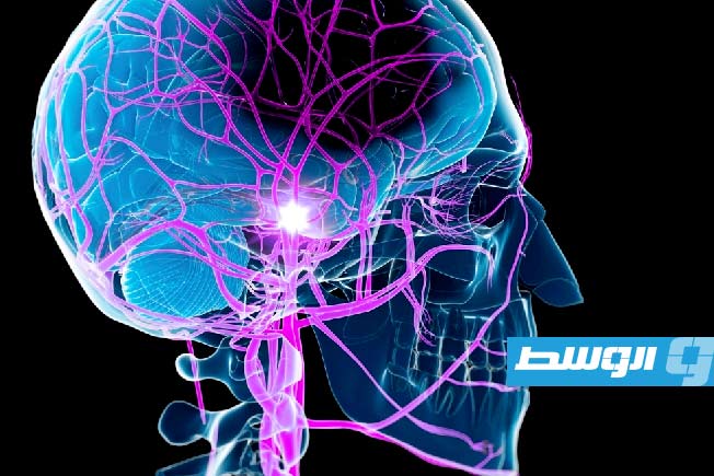 دراسة: تدريب «الذراع السليمة» أسرع في تأهيل مرضى السكتة الدماغية