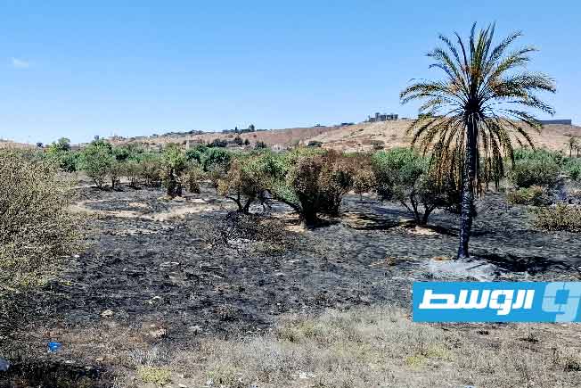 حرائق الغابات في تازربو.. و«الشرطة» تقر بالعجز وتستعين بالأهالي