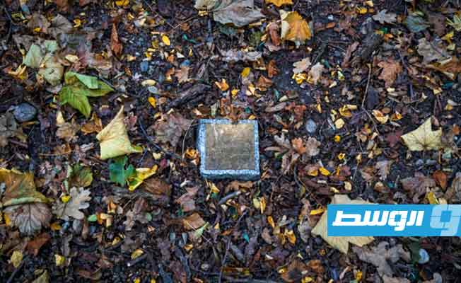 «الغابات المقابر» تكتسب زخما في فرنسا