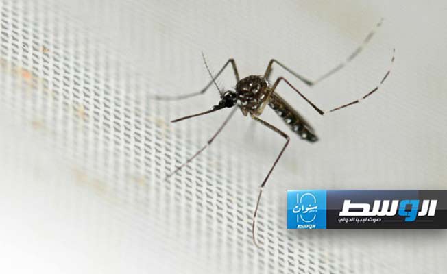البعوض يستخدم الأشعة تحت الحمراء للوصول إلى هدفه البشري