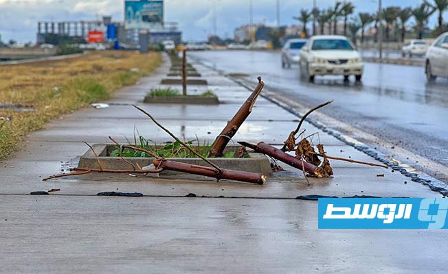 تخريب وكسر أشجار مزروعة حديثًا بطريق الوادي سوق الثلاثاء في طرابلس
