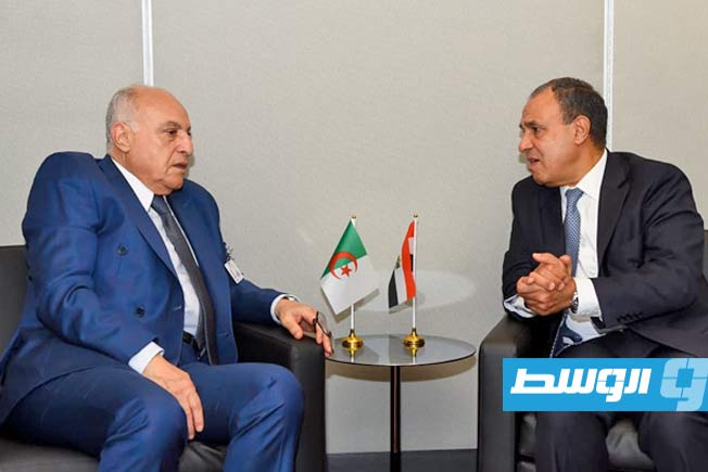 وزير الخارجية المصري: ندعم انتخابات رئاسية وبرلمانية متزامنة في ليبيا