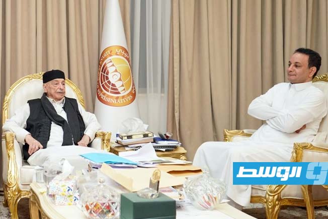 عقيلة يبحث مع بلقاسم حفتر المستجدات السياسية وأعمال إعادة الإعمار
