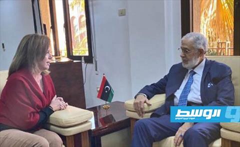 سيالة يبحث مع ستيفاني وليامز «الدعوة التركية - الروسية لوقف إطلاق النار»