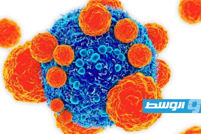 عقار مناعي «مُقنّع» يظهر نتائج واعدة في علاج حالات سرطان البروستاتا المتقدمة