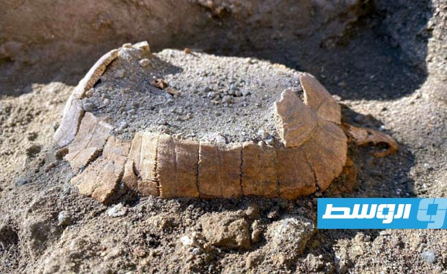 موقع بومبيي الأثري يبوح بسر «سلحفاة حامل»