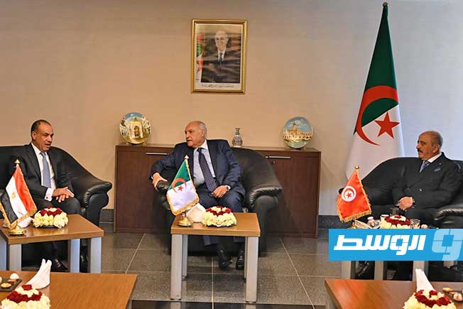 مصر تحث الأطراف الليبية على المضي في تنفيذ «خريطة تيتيه».. وتدعو لـ«مقاربة شاملة»