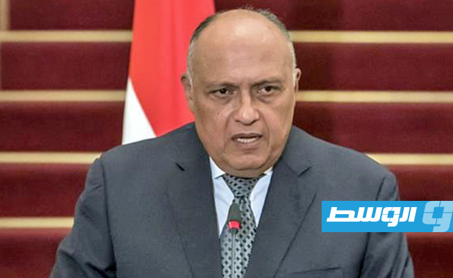 شكري يؤكد لماس ولودريان تمسك مصر بالتوصل إلى حل سياسي في ليبيا