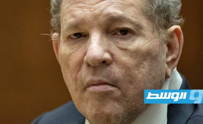 عارضة أزياء تقاضي «غول» هوليوود