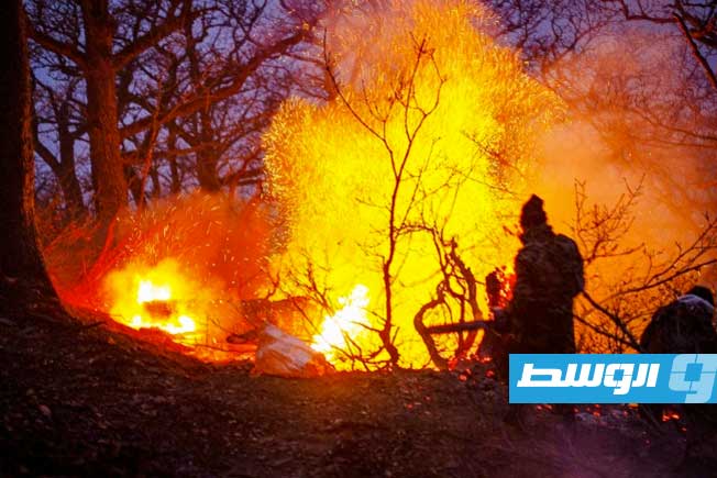 إيران تحظر دخول غابات مدرجة على قائمة التراث العالمي بعد أن التهمها حريق
