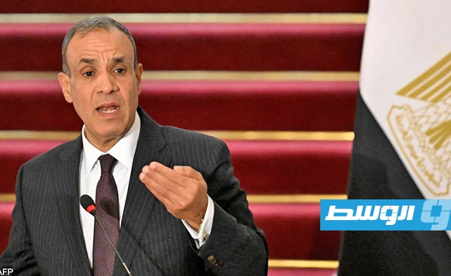 وزير خارجية مصر: نعمل مع قطر وأميركا لإحياء هدنة الستين يومًا في غزة