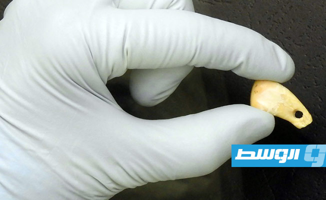 حمض نووي بشري على قلادة تعود إلى نحو 20 ألف سنة