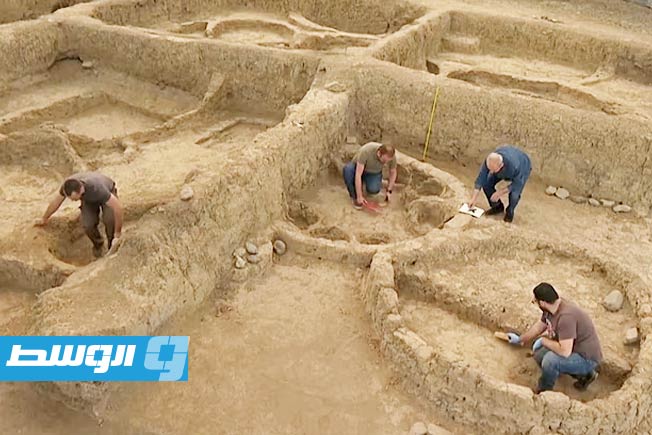 اكتشاف جذور القمح في القوقاز قبل 8000 عام