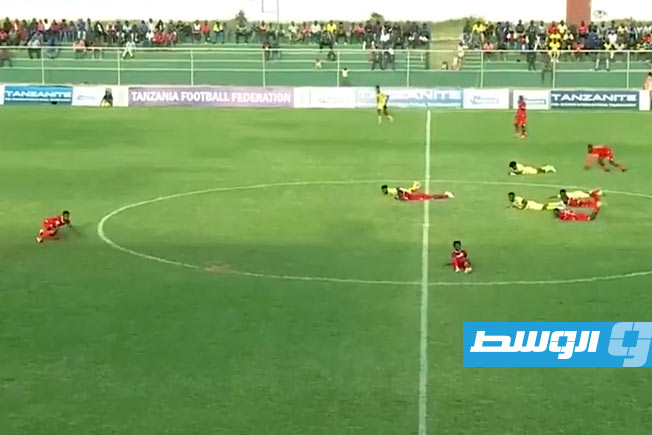 (فيديو).. فريقان يتظاهران بالموت للهروب من هجوم سرب نحل بتنزانيا