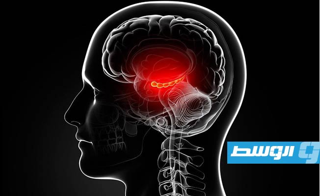 دراسة تكشف العلاقة بين أنماط التنفس وقوة الذاكرة