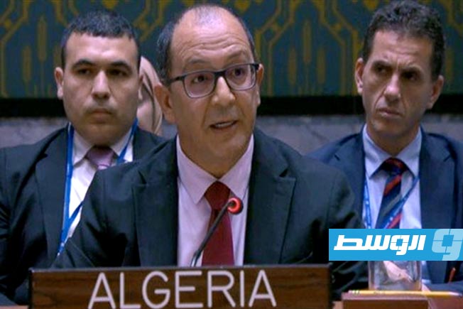 مجموعة «أ3+»: «إيريني» لم توقف تصدير الأسلحة إلى ليبيا وندعو لمحاسبة من ينتهك الحظر