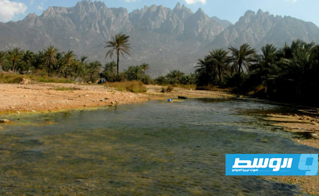 الانفصاليون اليمنيون يسيطرون على جزيرة سقطرى