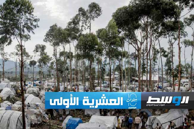 واشنطن «تدين بشدة» العنف في شرق الكونغو الديموقراطية