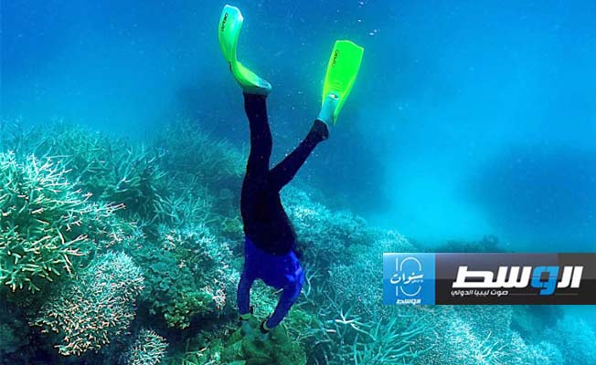 أصوات قادرة على المساعدة في إنقاذ الشعاب المرجانية