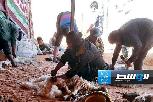 «الجلامة».. كرنفال شعبي في موسم جز صوف الأغنام