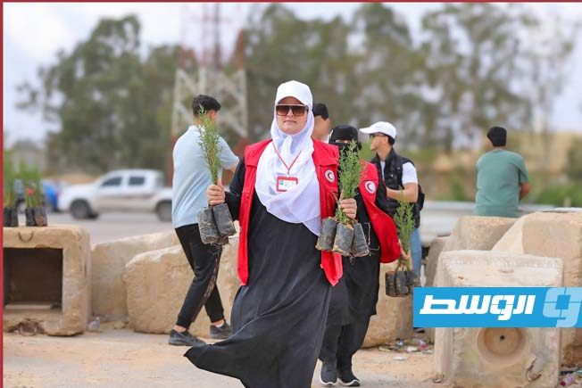 1,077 pine trees planted at Zawiya University