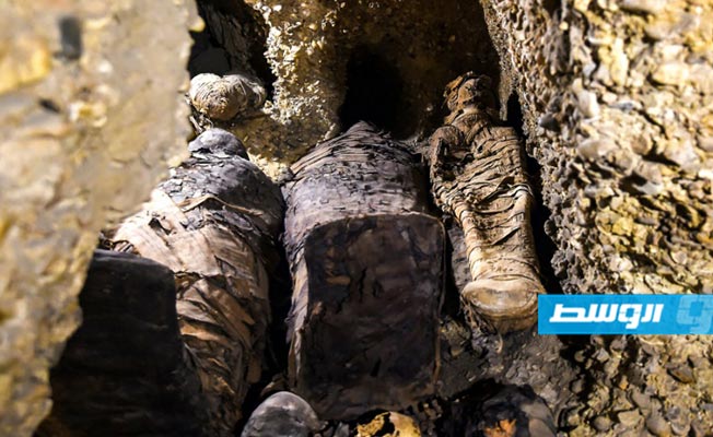 مصر: اكتشاف 40 مومياء من عصر البطالمة