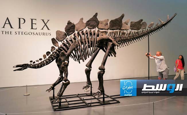 من اشترى أغلى هيكل عظمي لديناصور؟