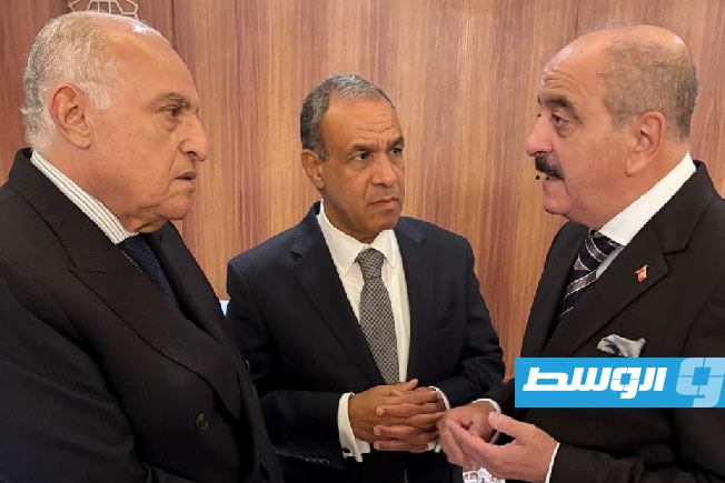 محادثات بين مصر والجزائر وتونس حول الأزمة الليبية