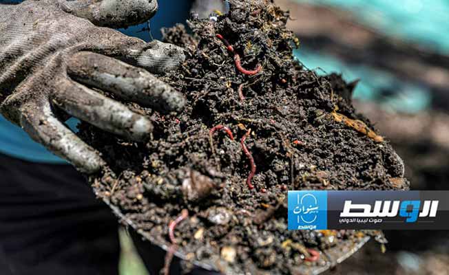 دراسة: استخدام «الملوثات الأبدية» في المبيدات الحشرية يتزايد في الولايات المتحدة