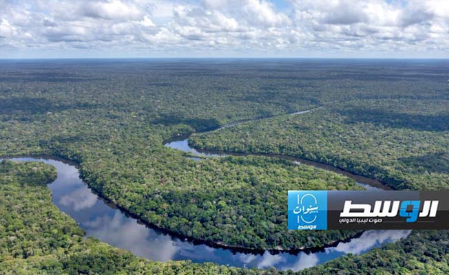 الأدنى منذ 9 سنوات.. انخفاض معدل إزالة الغابات في الأمازون البرازيلية