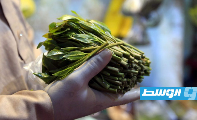 السعودية تحبط محاولة تهريب 29 طنا من القات