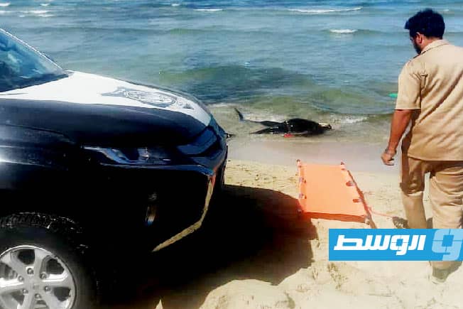 العثور على جثمان غطاس غرق في مصيف النيروز بعد 3 أيام من البحث