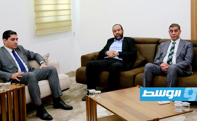 القطراني يدعو إلى التواصل مع المراكز الصحية في مصر لعلاج مصابي حادث بنت بية