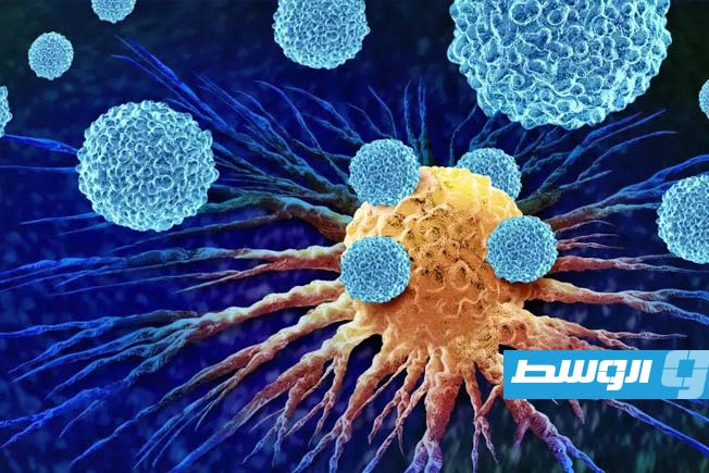 المغذيات النباتية تعزز قدرة الخلايا المناعية على محاربة السرطان