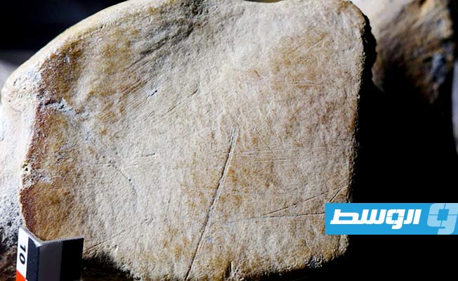 إنسان ما قبل التاريخ اصطاد الأفيال مستقيمة الأنياب