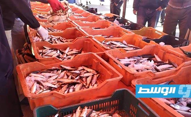 الحويج يطلب من مصلحة الجمارك الالتزام بقرار حظر تصدير الأسماك