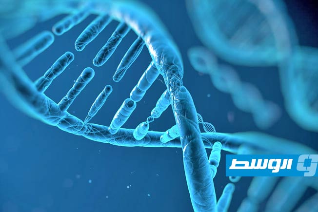 انطلاق مشروع مثير للجدل لبناء الجينوم البشري صناعيا