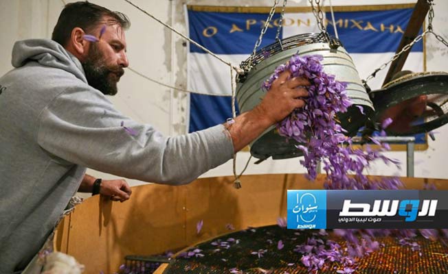 الجفاف يطيح بمحاصيل الزعفران في اليونان