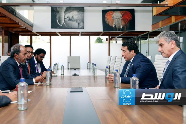 المنفي يجري محادثات مع رئيس الصومال