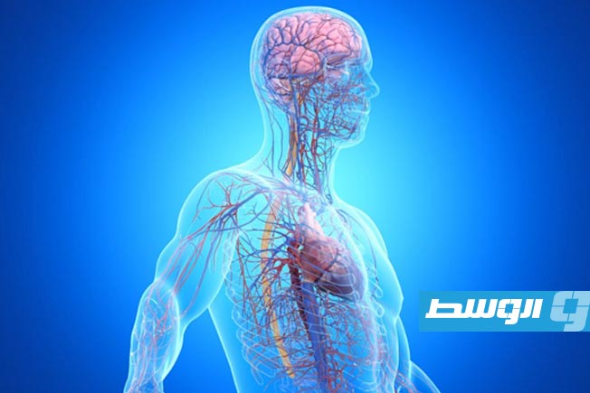 دراسة: ثلث حالات الخرف مرتبطة بأمراض من خارج الدماغ