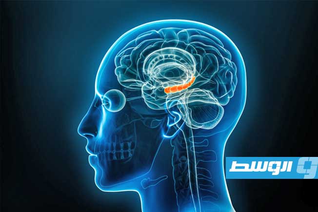 دراسة حديثة تفسر سر ارتباط الألم المزمن بالاكتئاب