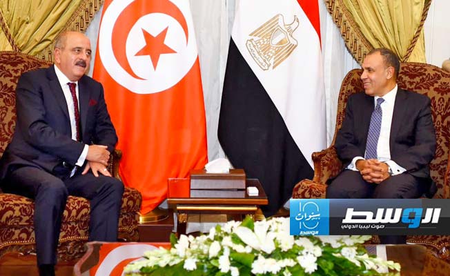 الملف الليبي على طاولة وزيري خارجية مصر وتونس