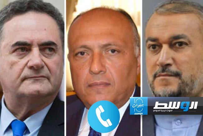 شكري يطالب وزيري خارجية إيران وإسرائيل بتجنيب المنطقة التوتر وعدم الاستقرار