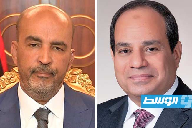 تعليقا على دعوة السيسي.. الكوني: إخراج القوات الأجنبية أعلى هرم أولويات توحيد ليبيا