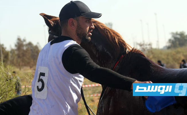 منتخب قفز الحواجز يتأهب للمشاركة الأفريقية
