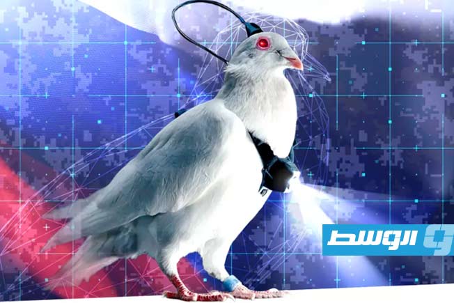 مشروع روسي لتحويل الحمام إلى مسيّرات عسكرية وطموحات لـ«إعادة برمجة» البشر