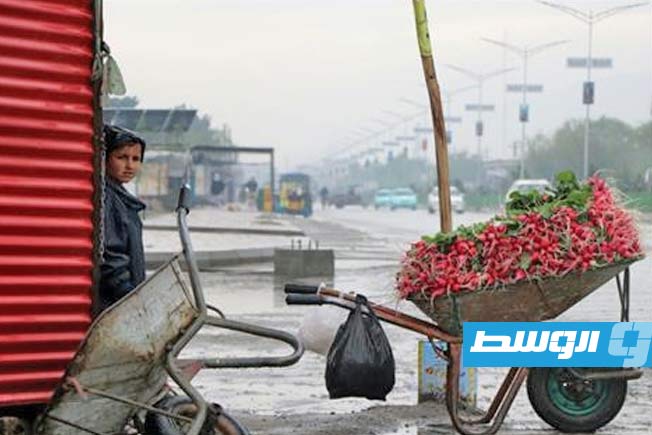 8 قتلى جراء زلزال في أفغانستان