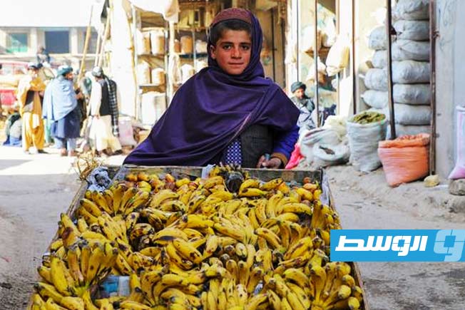 البنك الدولي يتوقع تراجع النمو بأفغانستان بعد خفض المساعدات الخارجية